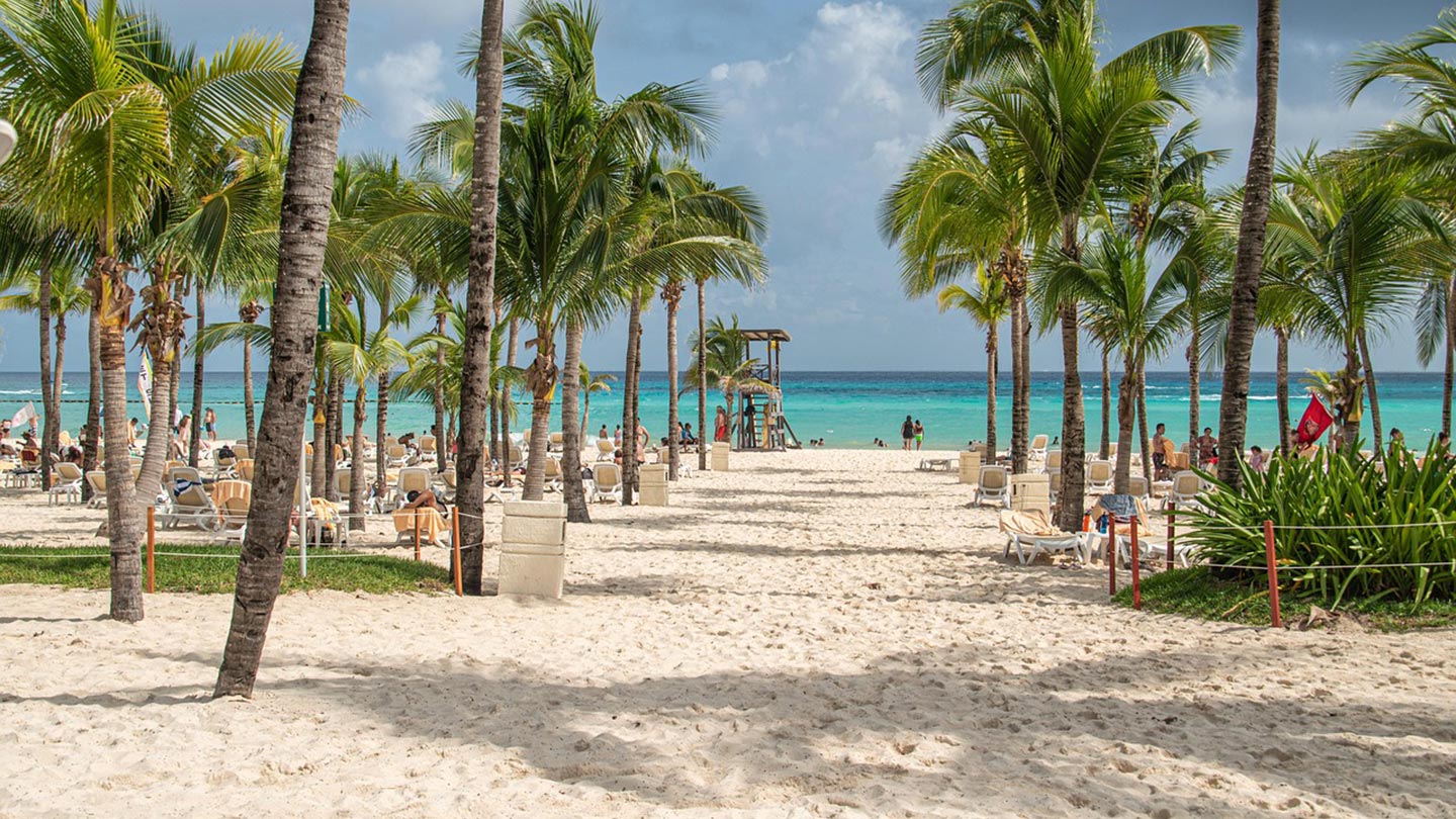 En vacker strand i Playa del Carmen med palmträd och solstolar vid havet.