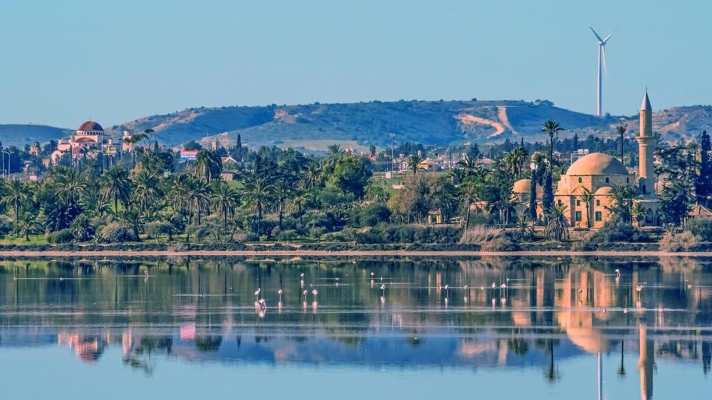 Bild av Hala Sultan Tekke moskén vid Saltsjö, med palmer och reflektioner i vattnet.