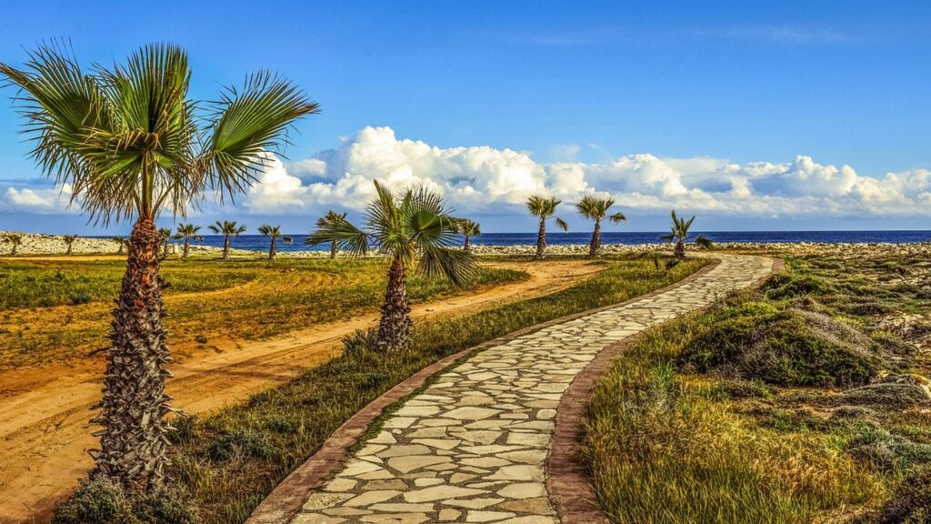 Kustnära gångväg vid havet i Ayia Napa, omgiven av gröna palmer och vacker natur.