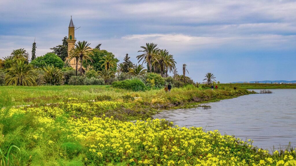 En vacker promenad vid Saltsjön i Larnaca, omgiven av blommor och palmer.