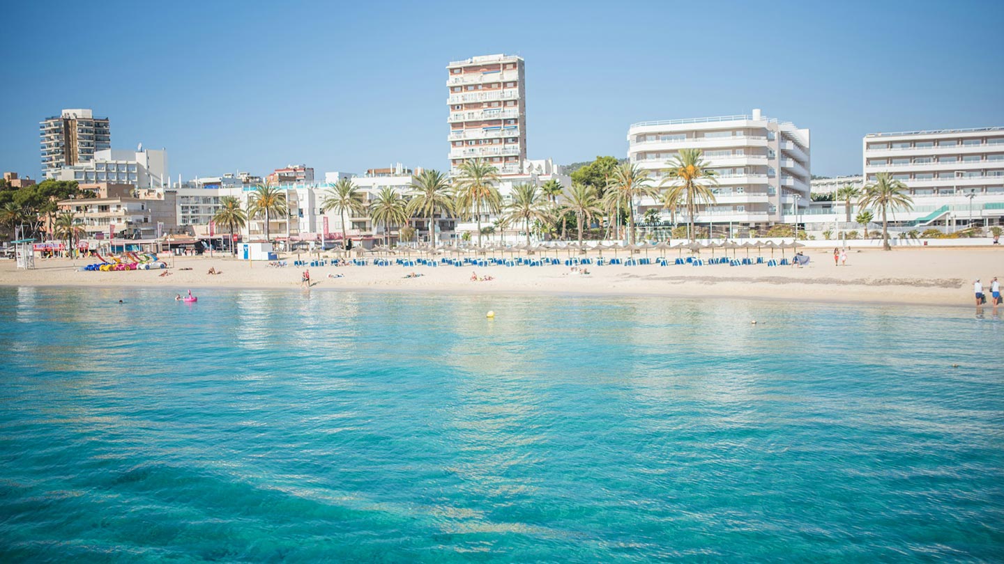 En härlig strand i Mallorca, Spanien med palmträd och kristallklart vatten.