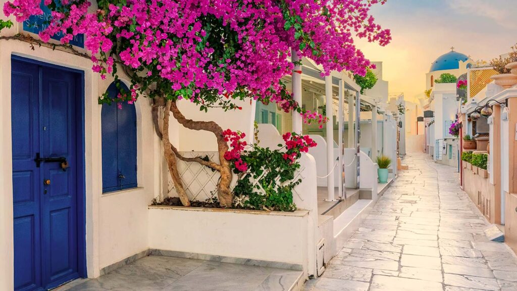En pittoresk gata i Santorini, Grekland, med blommor och vitkalkade hus.