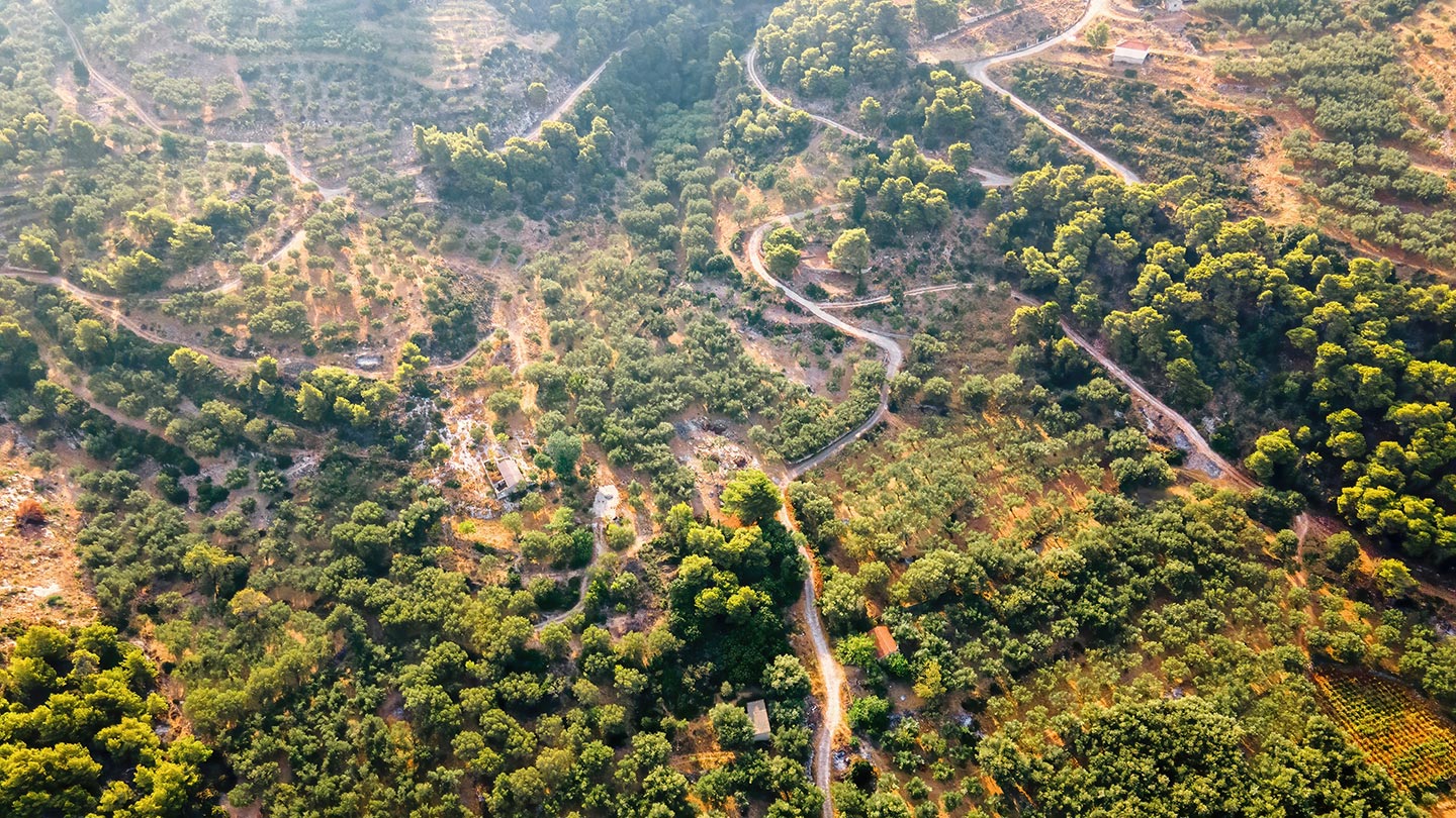 Ett vackert naturområde över Zakynthos i Grekland med gröna träd och slingrande vägar.