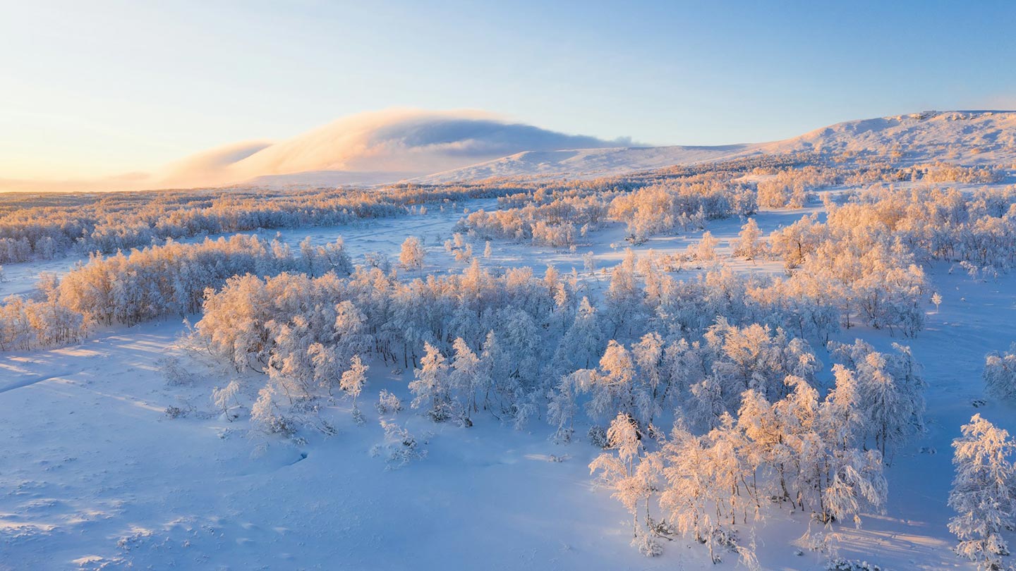 Vinterlandskap i Rockvallen, Bruksvallarna, med snöklädda träd och fjäll.