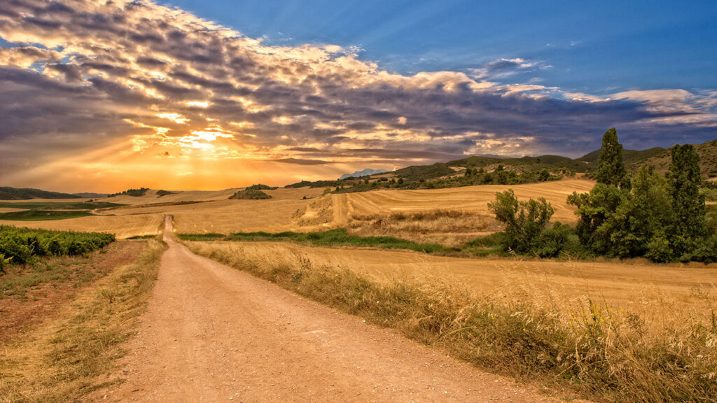 En grusväg leder genom gyllene fält i Navarra, Spanien, under en dramatisk solnedgång.