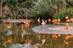 Barcelona Zoo